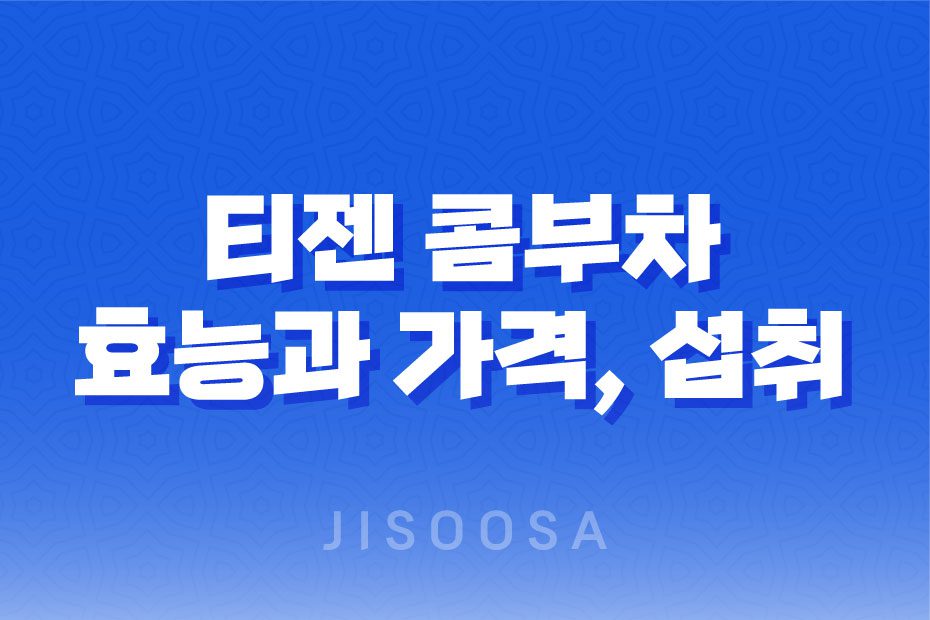 티젠 콤부차 효능, 가격, 섭취 방법, 부작용 및 주의사항 1