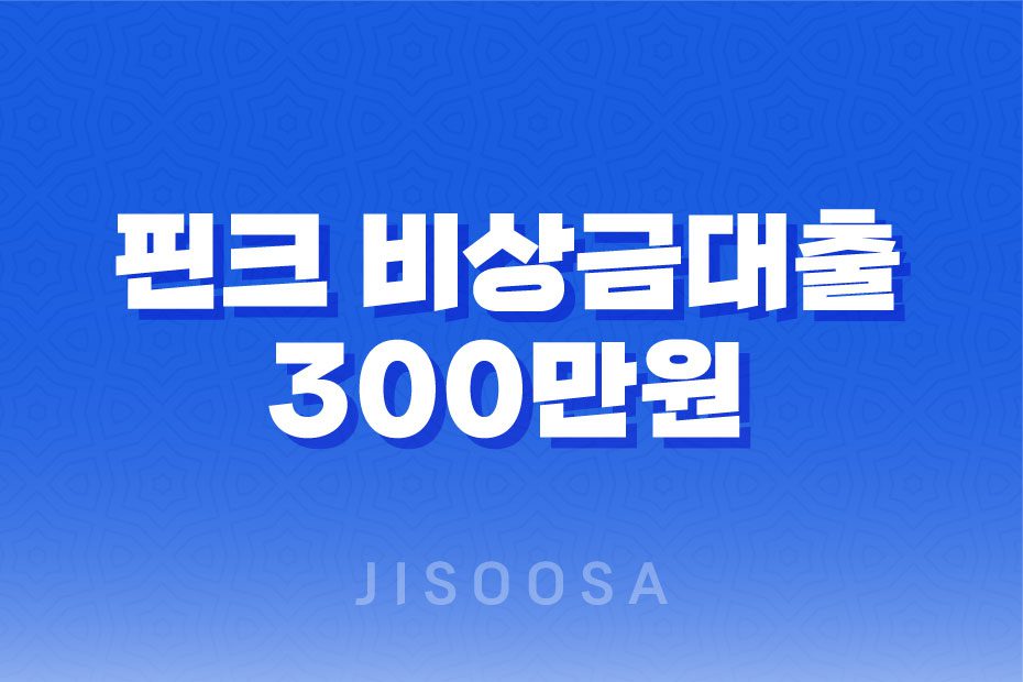 핀크 비상금대출, 300만원까지 무직자도 가능한 대출 상품 1