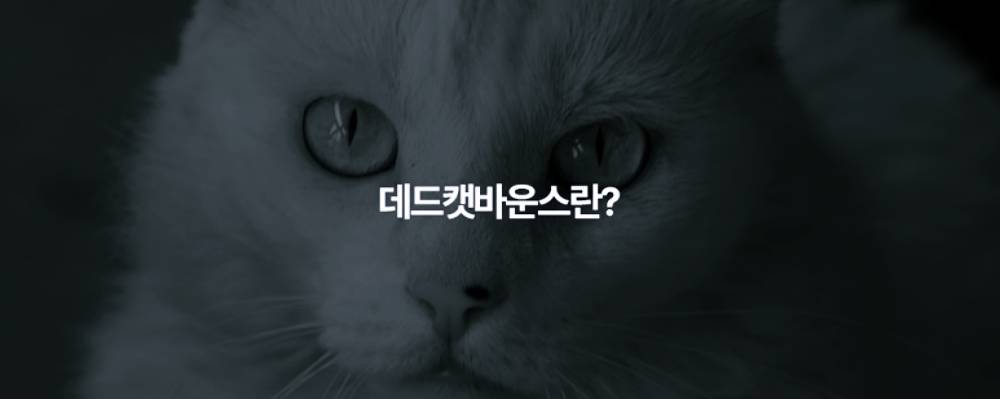 데드캣바운스 현상, 유래, 사례, 투자 2