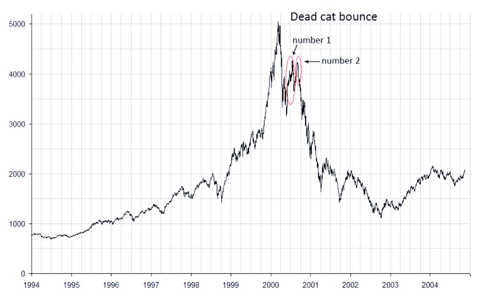데드캣바운스 현상, 유래, 사례, 투자 10