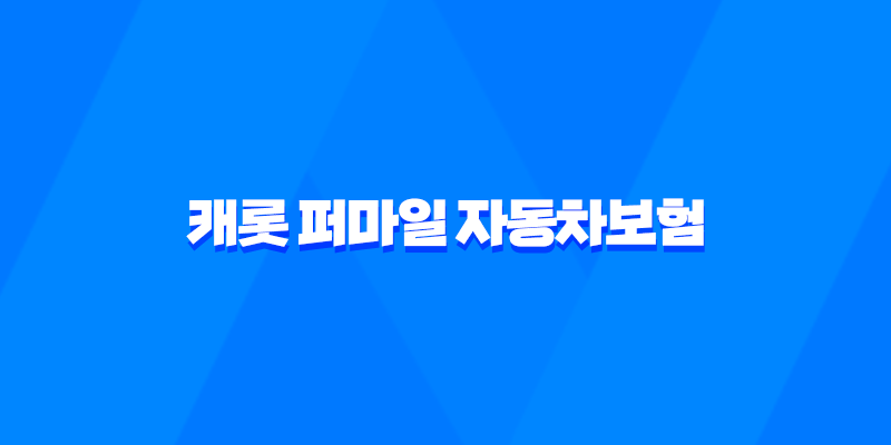 캐롯 퍼마일 자동차보험 장점, 보험료, 가격, 할인혜택 (2023년) 7