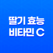 딸기 효능 비타민 C 듬뿍, 겨울 제철과일 19