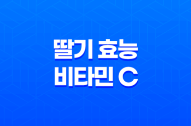 딸기 효능 비타민 C 듬뿍, 겨울 제철과일 19