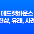 데드캣바운스 현상, 유래, 사례, 투자 27