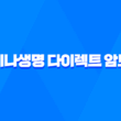라이나생명 다이렉트 암보험 - 종류, 가입 보장내용 및 가입 방법 1
