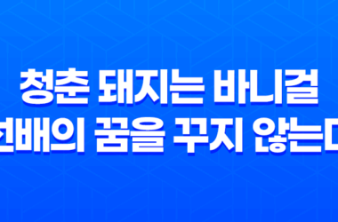 청춘 돼지는 바니걸 선배의 꿈을 꾸지 않는다 - 애니메이션 명작 리뷰 21