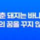 청춘 돼지는 바니걸 선배의 꿈을 꾸지 않는다 - 애니메이션 명작 리뷰 103