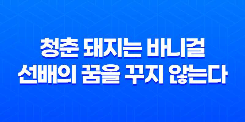 청춘 돼지는 바니걸 선배의 꿈을 꾸지 않는다 - 애니메이션 명작 리뷰 8 청춘 돼지는 바니걸 선배의 꿈을 꾸지 않는다 - 애니메이션 명작 리뷰 7