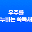 우주를 누비는 쏙독새: 스위치드의 매력적인 줄거리 33
