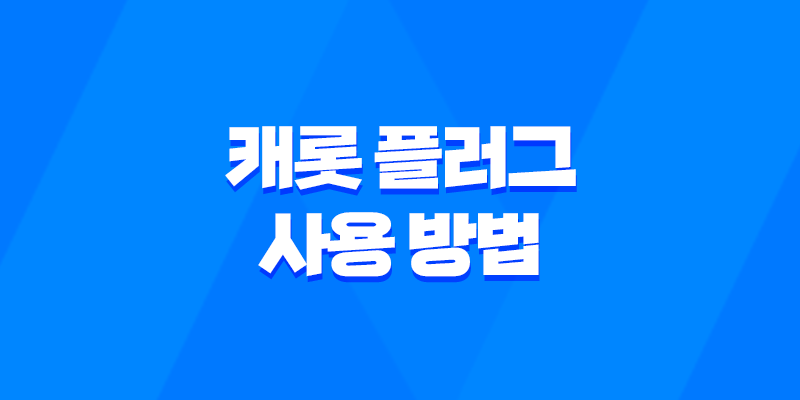 캐롯 플러그 사용 방법 및 가격 정보, 분실 대처방법 8 캐롯 플러그 사용 방법 및 가격 정보, 분실 대처방법 7