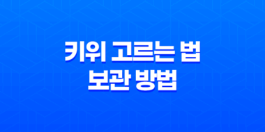 키위 고르는 법과 보관 방법 27
