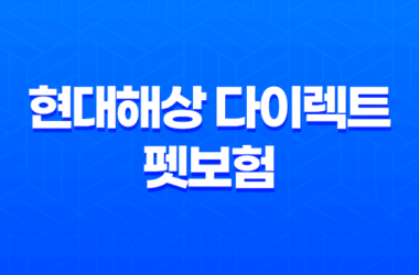 현대해상 다이렉트 펫보험 보험료 가입방법과 혜택 29