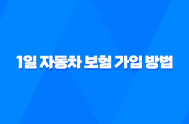 1일 자동차 보험 가입 방법 원데이 자동차보험 7