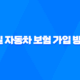 1일 자동차 보험 가입 방법 원데이 자동차보험 19