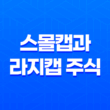 스몰캡과 라지캡 주식 - 대형주, 중형주, 소형주 27