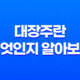 대장주란 무엇인지 알아보자! (+ 대장주의 개념과 의미) 17