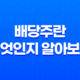 배당주란 무엇인지 알아보기 : 배당주 특징과 장단점 21