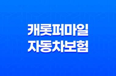 캐롯퍼마일 자동차보험 24시간 계산 가입방법과 보장내용 13