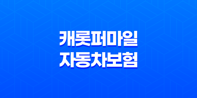 캐롯퍼마일 자동차보험 24시간 계산 가입방법과 보장내용 8 캐롯퍼마일 자동차보험 24시간 계산 가입방법과 보장내용 7