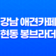 강남 애견카페 논현동 봉브라더스, 깨끗하고 깔끔한 카페 15