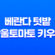 베란다 텃밭 방울토마토 키우기 37