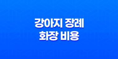 강아지 장례 화장 비용 및 반려동물 장례식장 총정리 105