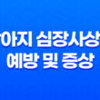 강아지 심장사상충 예방 및 증상 - 바이오강스 스팟온 약 한 달에 한번씩 바르는 약과 먹는 약! 31