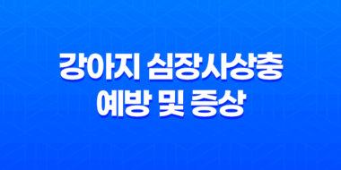 강아지 심장사상충 예방 및 증상 - 바이오강스 스팟온 약 한 달에 한번씩 바르는 약과 먹는 약! 47
