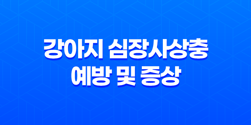 강아지 심장사상충 예방 및 증상 - 바이오강스 스팟온 약 한 달에 한번씩 바르는 약과 먹는 약! 8 강아지 심장사상충 예방 및 증상 - 바이오강스 스팟온 약 한 달에 한번씩 바르는 약과 먹는 약! 7