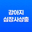 강아지 심장사상충 감염 원인, 경로, 증상 및 치료방법 23