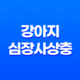 강아지 심장사상충 감염 원인, 경로, 증상 및 치료방법 33