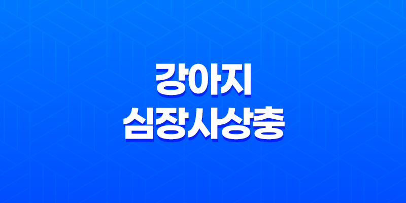 강아지 심장사상충 감염 원인, 경로, 증상 및 치료방법 7