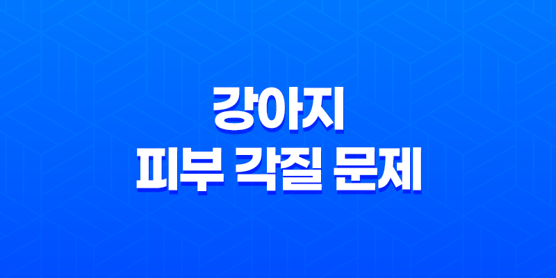 강아지 피부 각질 문제와 그 해결법 7