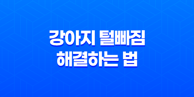 강아지 털빠짐 해결하는 법 7가지 7