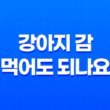 강아지 감 먹어도 되나요? 감이 강아지에게 미치는 영향과 주의사항 23