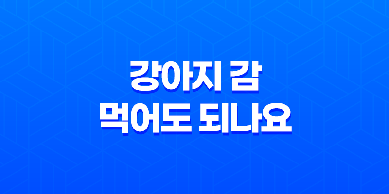 강아지 감 먹어도 되나요? 감이 강아지에게 미치는 영향과 주의사항 7
