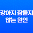 강아지 잠들지 않는 원인과 해결 방법 59