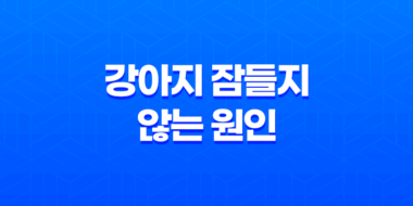 강아지 잠들지 않는 원인과 해결 방법 39