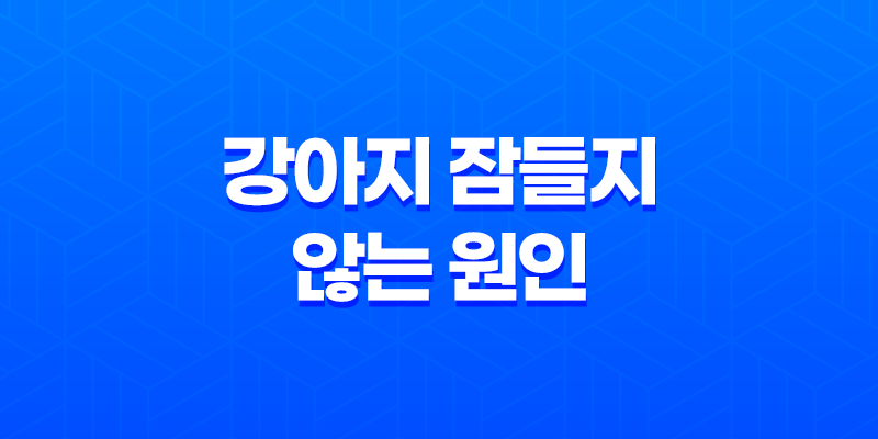 강아지 잠들지 않는 원인과 해결 방법 7