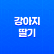 강아지 딸기 먹어도 되나요? 31