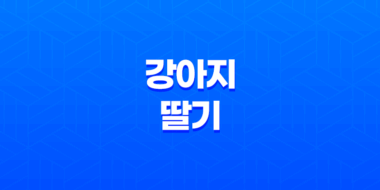 강아지 딸기 먹어도 되나요? 73