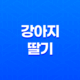 강아지 딸기 먹어도 되나요? 61