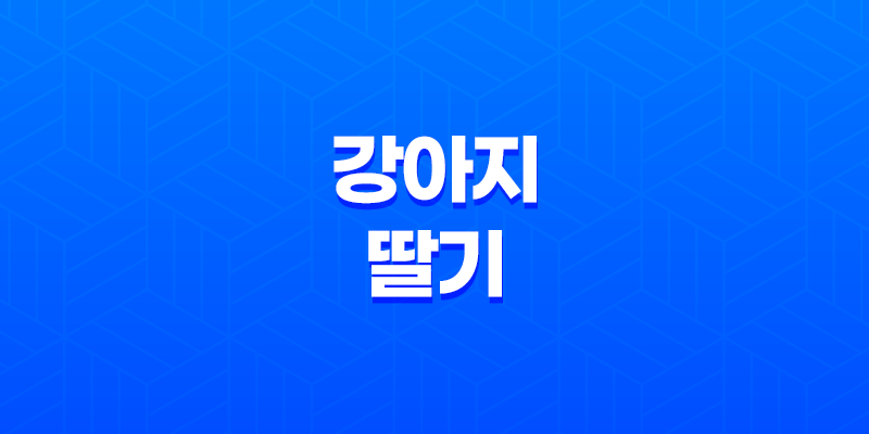 강아지 딸기 먹어도 되나요? 7