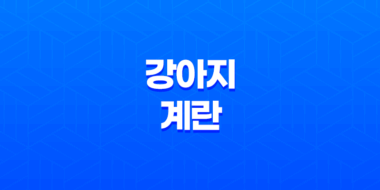 강아지 계란 먹어도 되나요? (+ 계란 알레르기 주의) 81