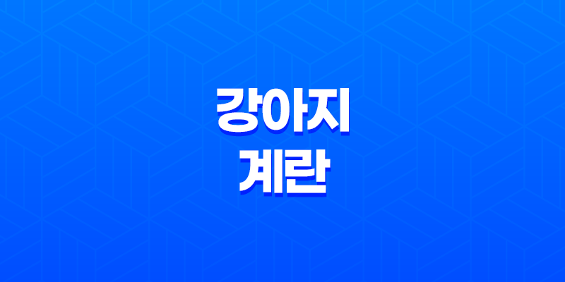 강아지 계란 먹어도 되나요? (+ 계란 알레르기 주의) 7