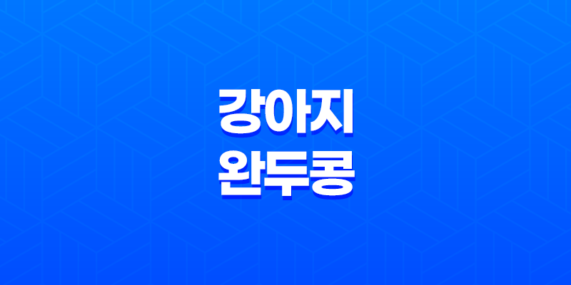 강아지 완두콩 주는 방법과 주의사항 7