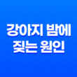 강아지 밤에 짖는 원인과 대처법 29