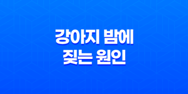 강아지 밤에 짖는 원인과 대처법 65
