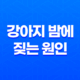 강아지 밤에 짖는 원인과 대처법 35