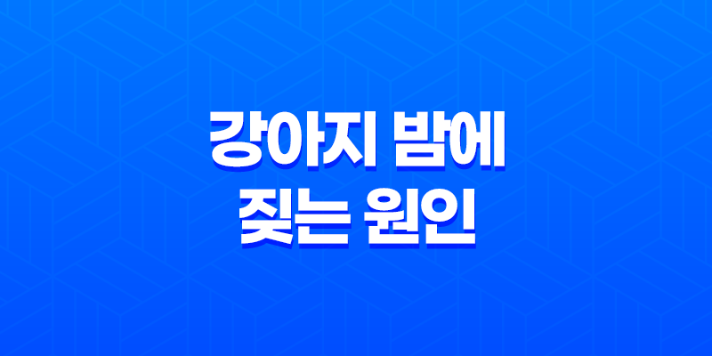 강아지 밤에 짖는 원인과 대처법 7